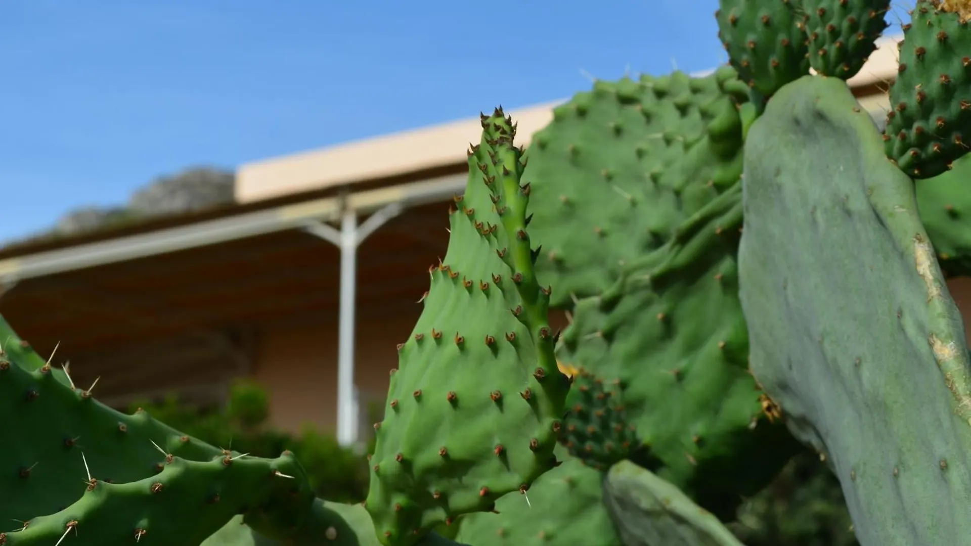 Bed & Breakfast Alencio Panorama Residence Favignana