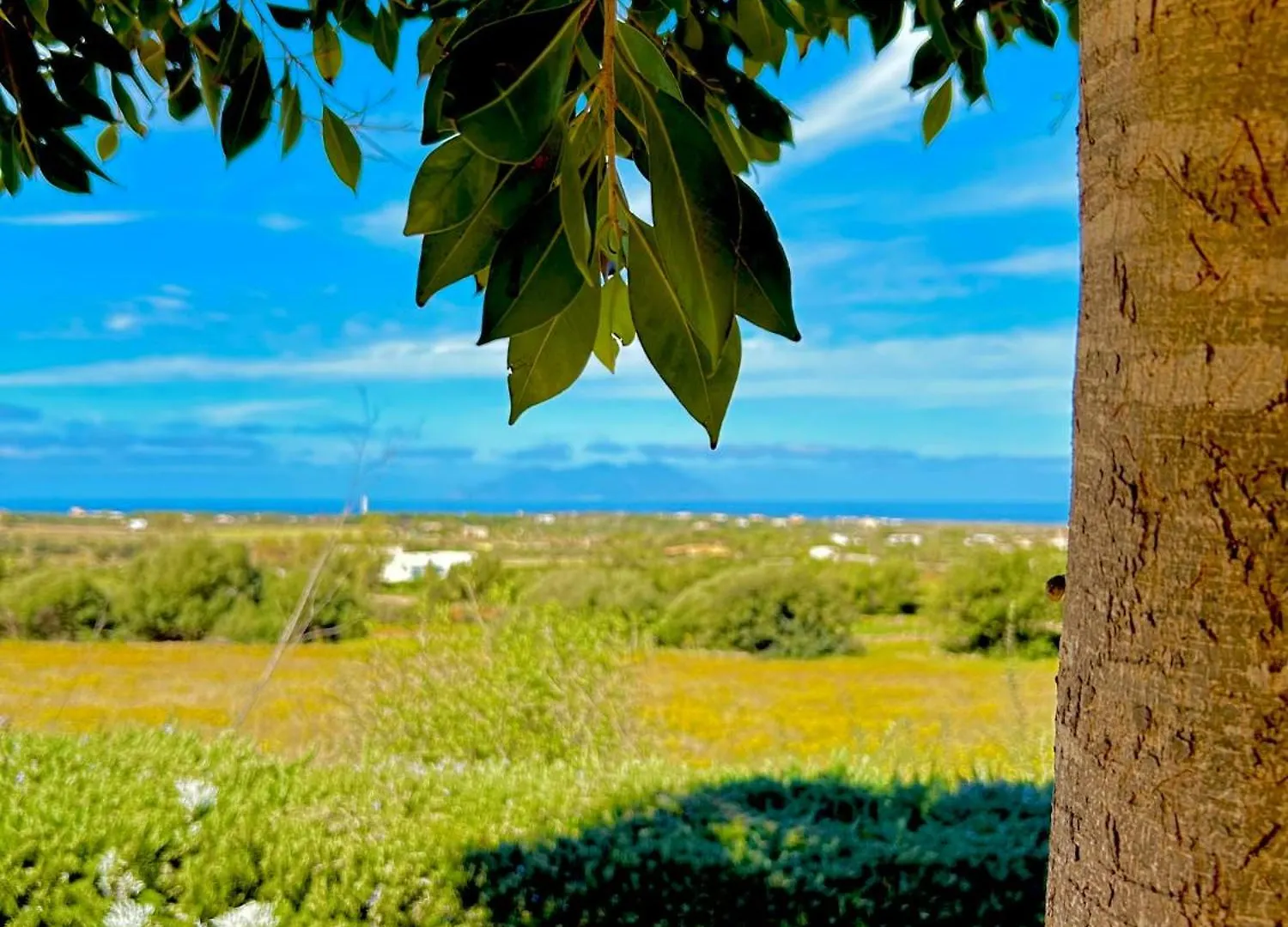 Alencio Panorama Residence Favignana 0*,